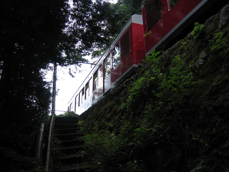 resize_img_3082.jpg