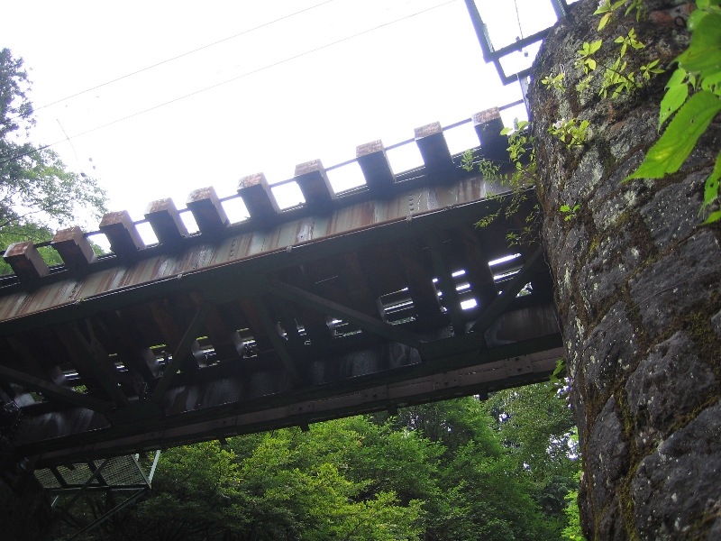 resize_img_3095.jpg