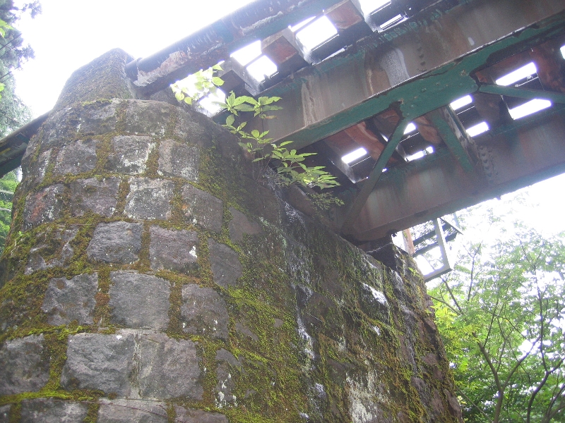 resize_img_3101.jpg