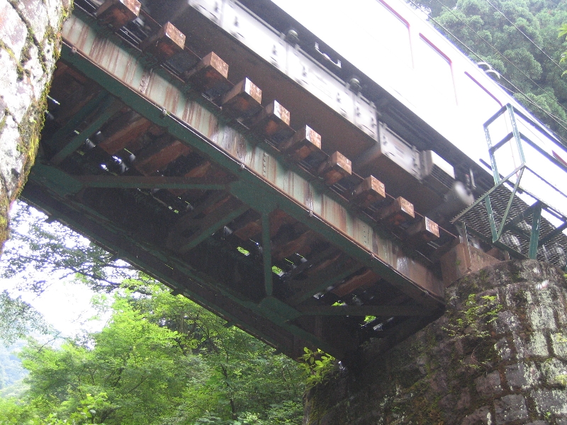 resize_img_3113.jpg