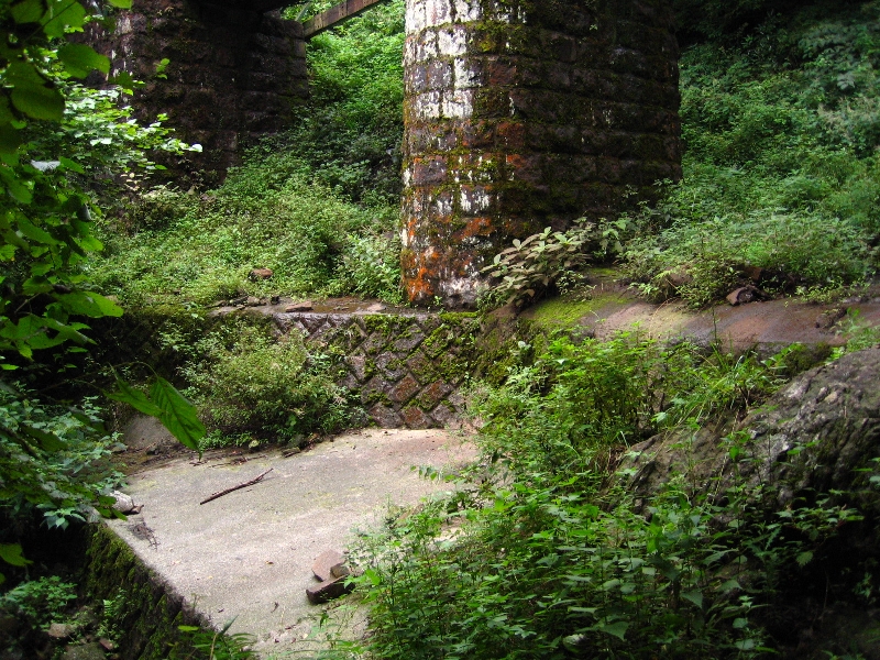 resize_img_3131.jpg