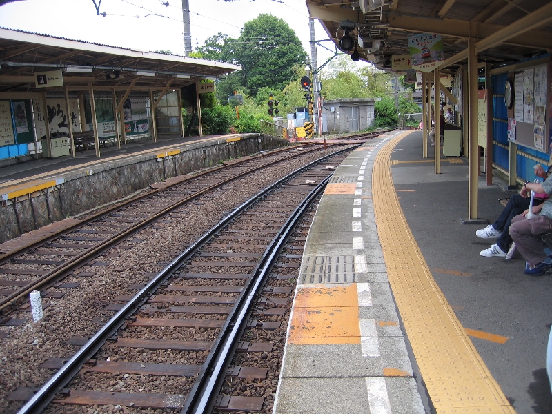 resize_img_2398.jpg
