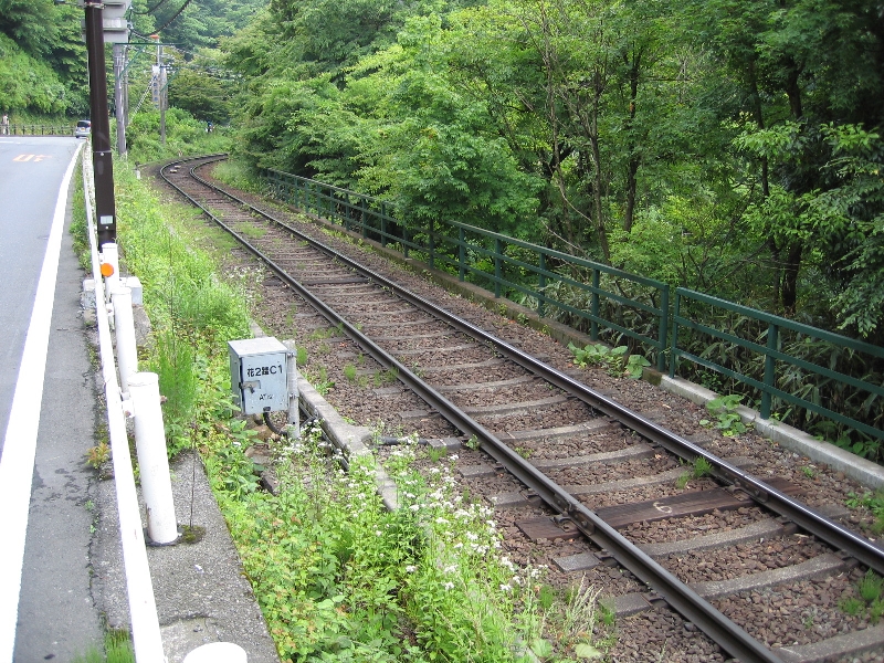 resize_img_2481.jpg