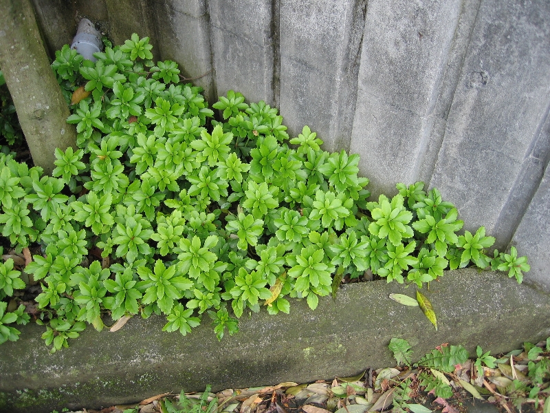 resize_img_2484.jpg