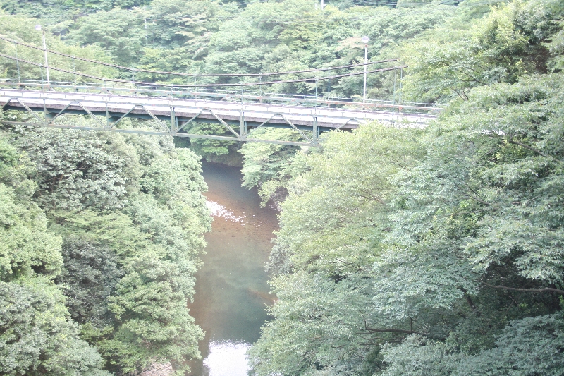 resize_img_0805.jpg