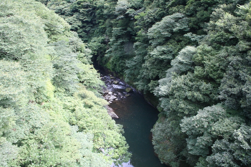 resize_img_0893.jpg