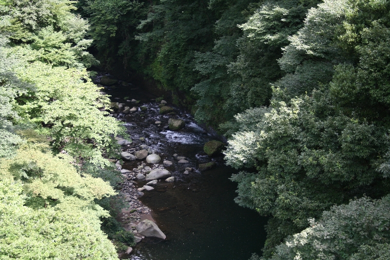 resize_img_0898.jpg