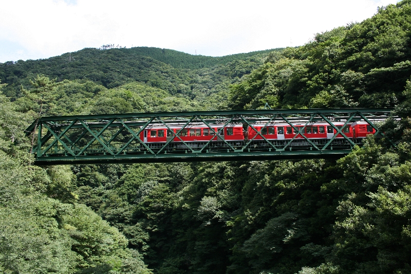resize_img_0905.jpg