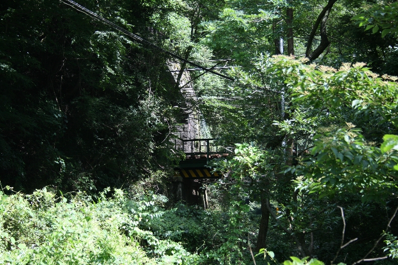 resize_img_0915.jpg