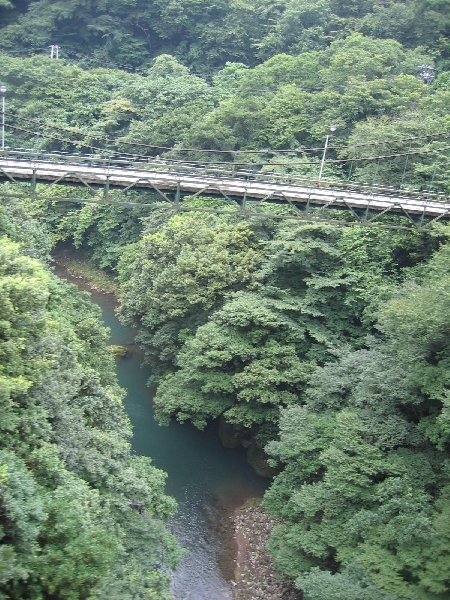 resize_img_2789.jpg