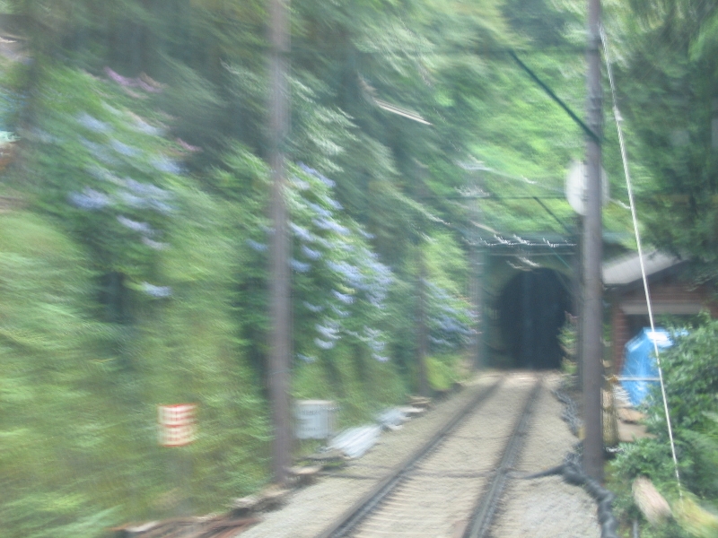 resize_img_2793.jpg