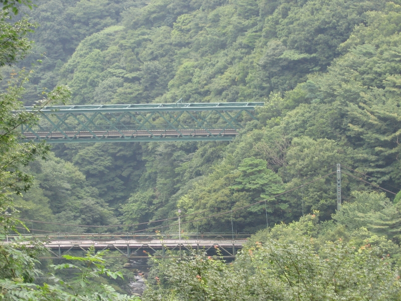 resize_img_2794.jpg