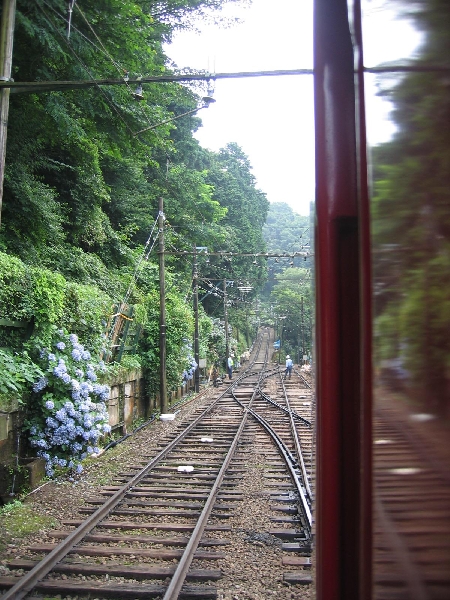 resize_img_2800.jpg
