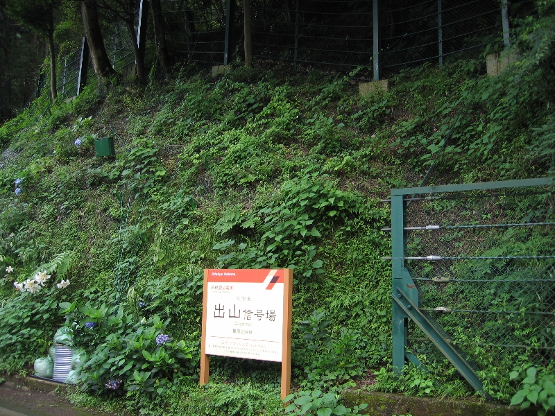 resize_img_2802.jpg