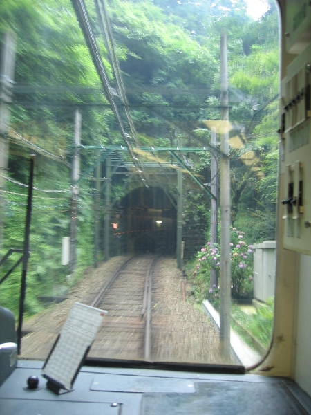 resize_img_2806.jpg