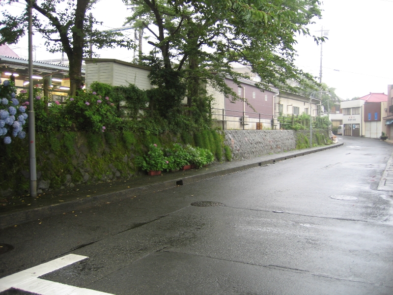 resize_img_2859.jpg