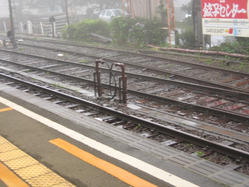 resize_img_2873.jpg