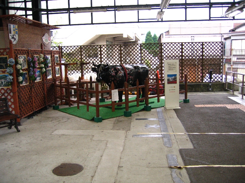 resize_img_3159.jpg