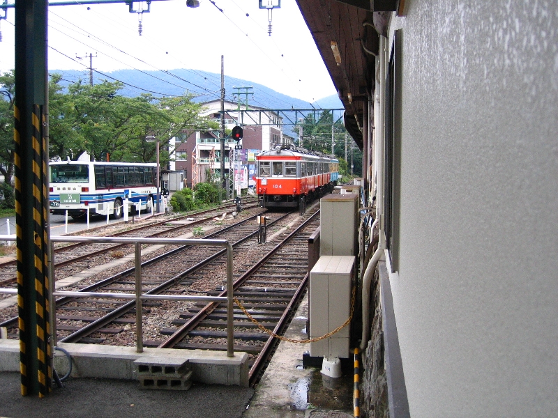 resize_img_3165.jpg