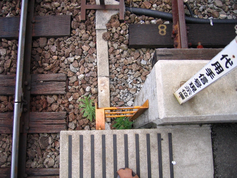 resize_img_3179.jpg