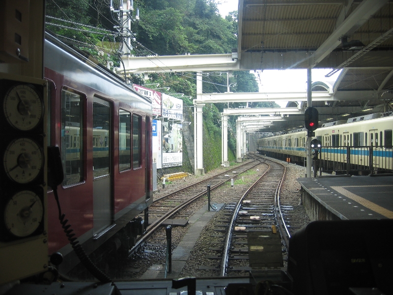 resize_img_2785.jpg