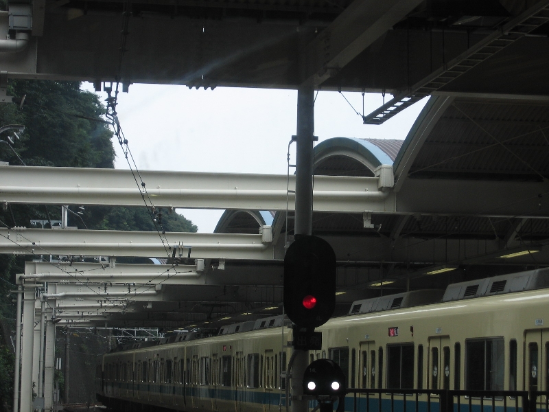 resize_img_2786.jpg