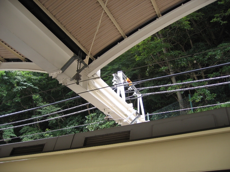 resize_img_3062.jpg