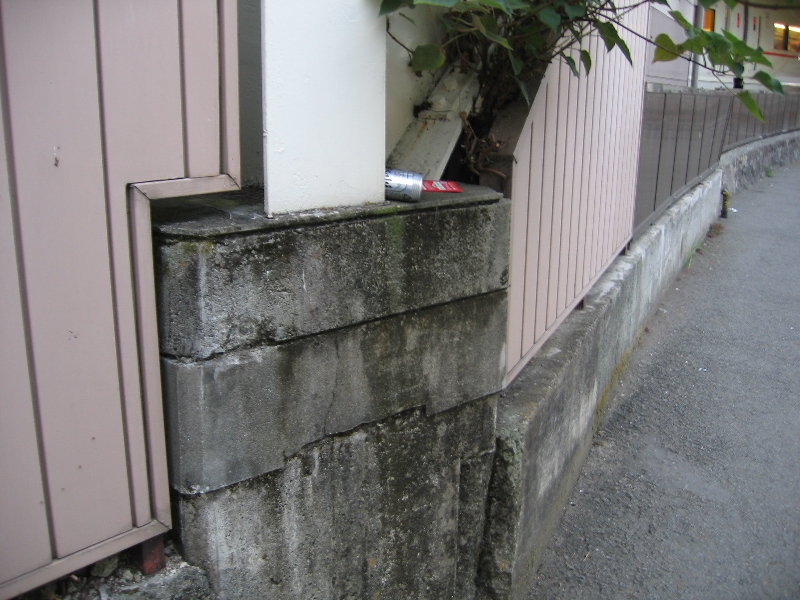 resize_img_3241.jpg