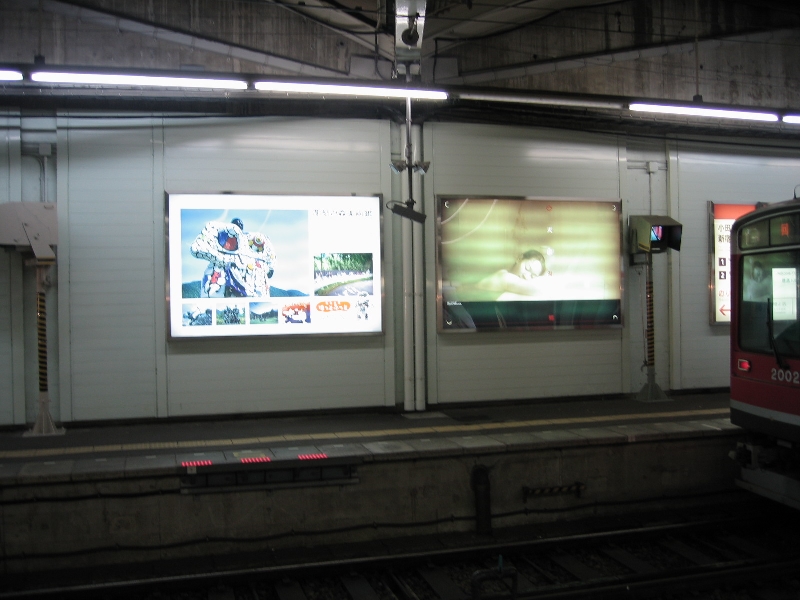 resize_img_3448.jpg