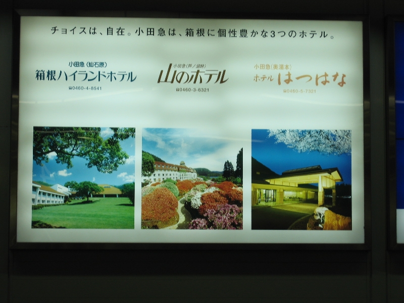 resize_img_3452.jpg