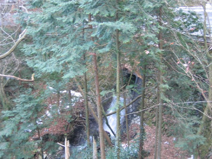 resize_img_3724.jpg