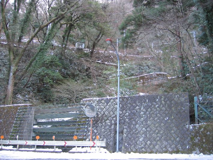 resize_img_3725.jpg