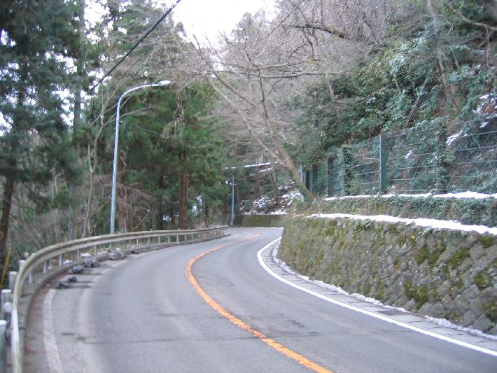 resize_img_3735.jpg