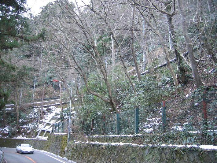 resize_img_3738.jpg
