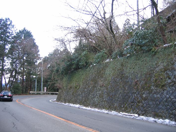 resize_img_3740.jpg