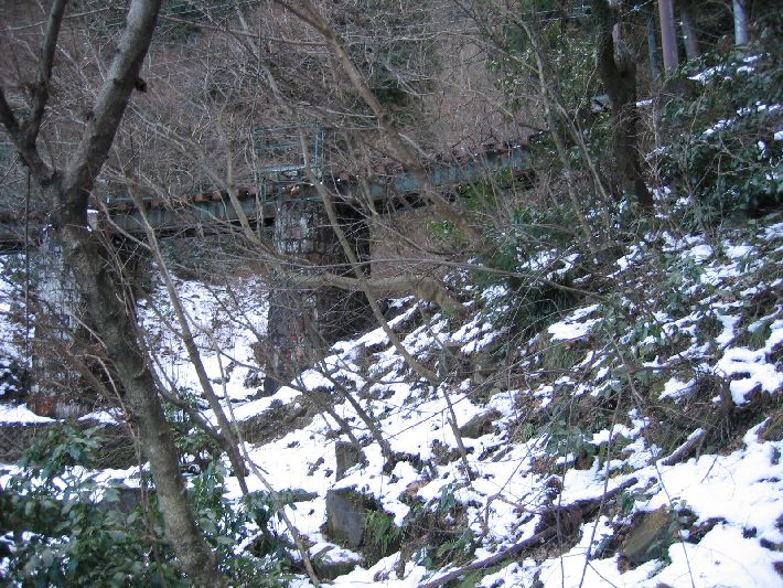 resize_img_3746.jpg