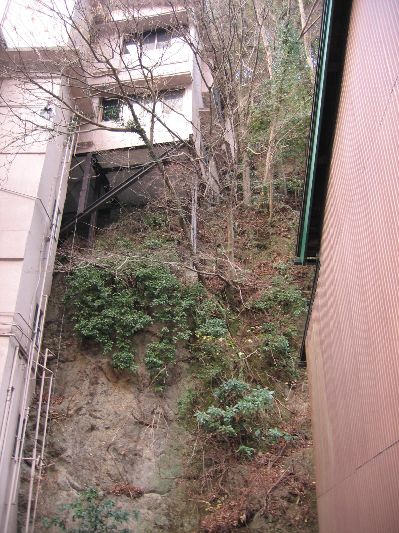 resize_img_3785.jpg