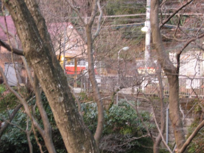 resize_img_3801.jpg
