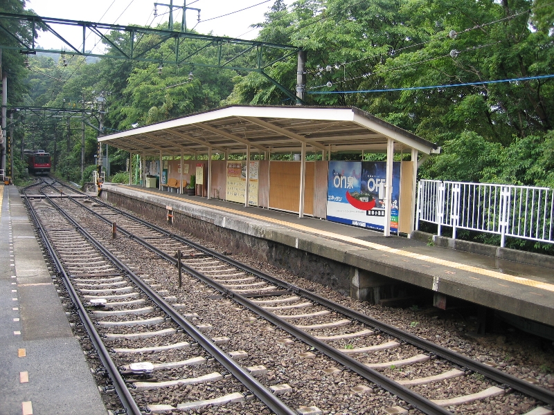 resize_img_2375.jpg