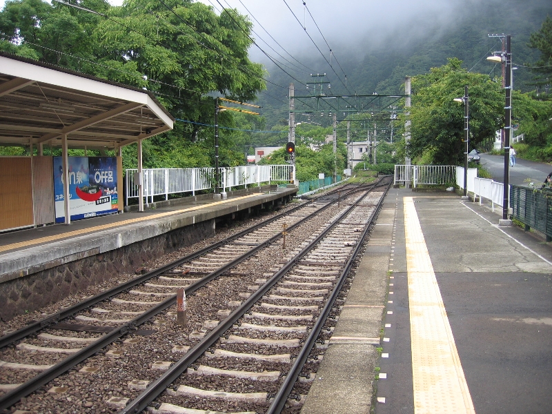resize_img_2379.jpg