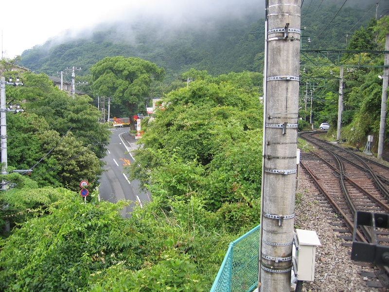 resize_img_2387.jpg
