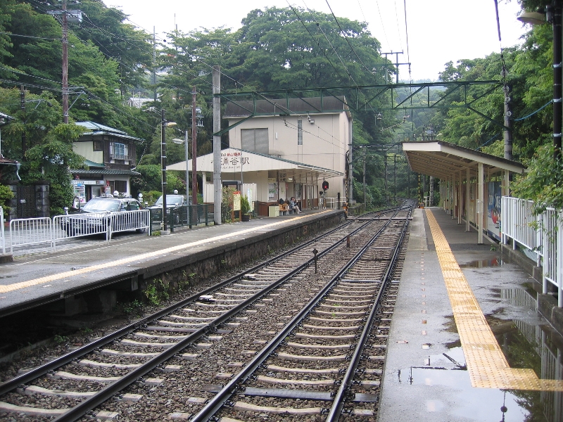 resize_img_2388.jpg