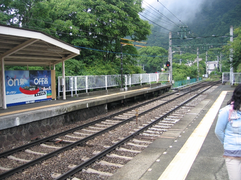 resize_img_2393.jpg