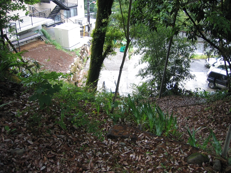 resize_img_2501.jpg