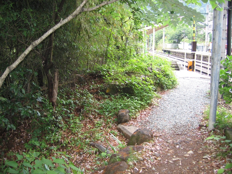 resize_img_2503.jpg