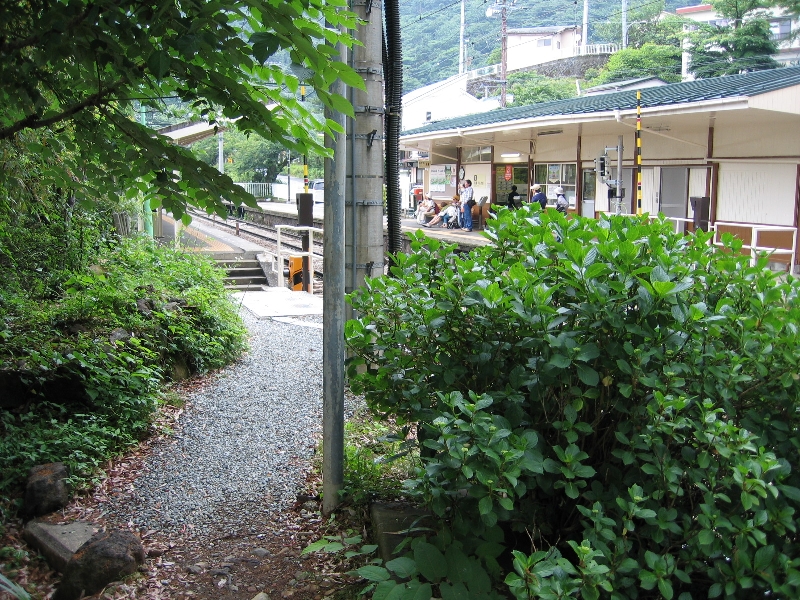 resize_img_2504.jpg