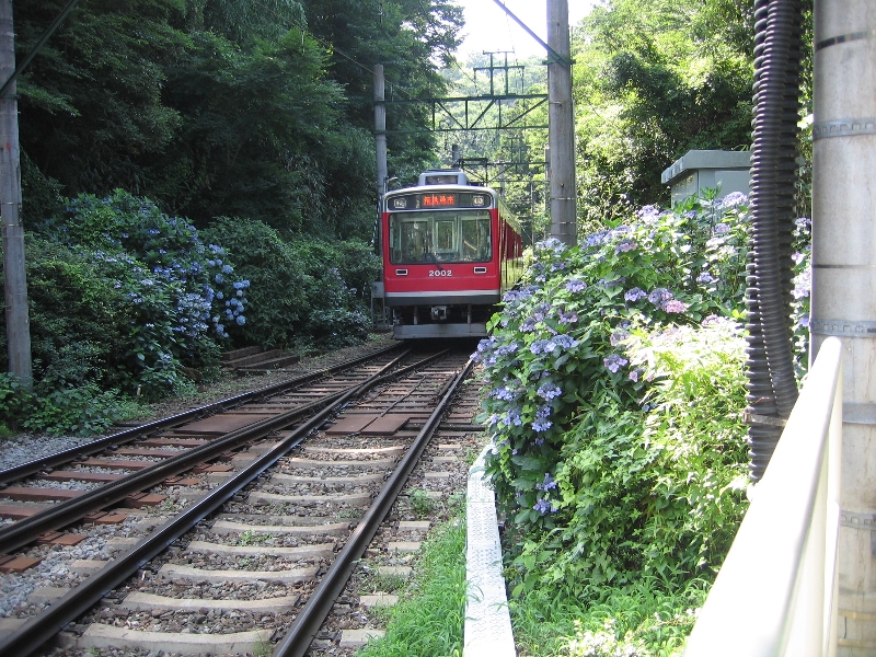 resize_img_2772.jpg