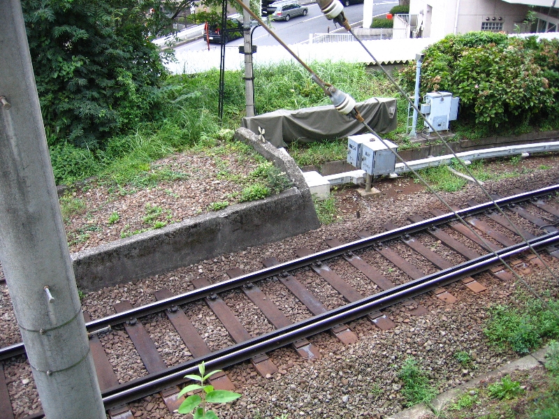 resize_img_3190.jpg