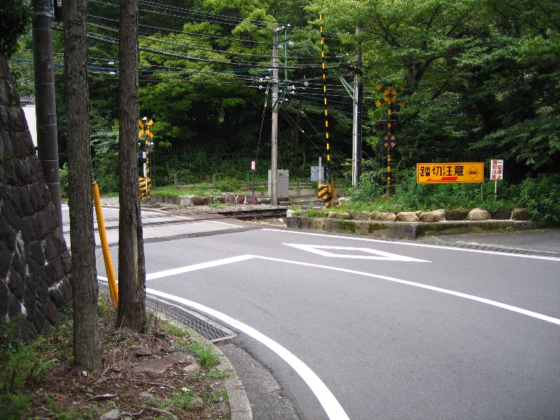 resize_img_3191.jpg