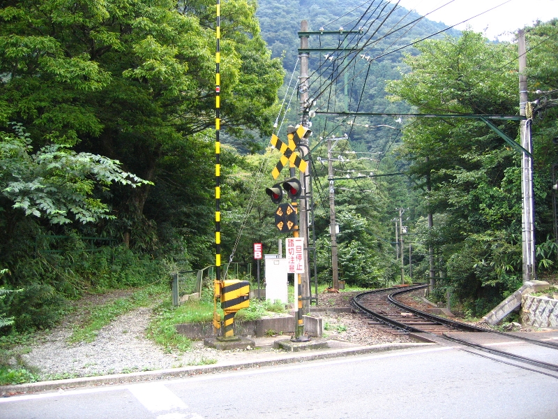 resize_img_3193.jpg
